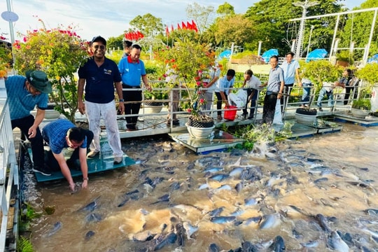 Thúc đẩy nông nghiệp sinh thái và chuyển đổi hệ thống lương thực, thực phẩm