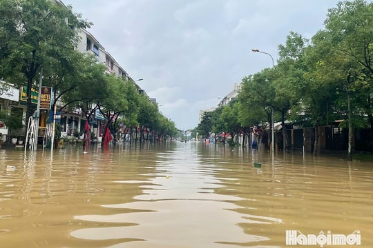 [Podcast] Tin tức ngày 7-10: Hà Nội: 30 trường học bị ngập, hàng nghìn người dân bị mất điện sau bão số 11