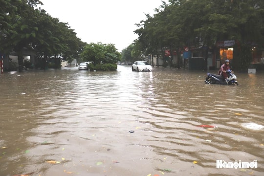 Hà Nội: Vận hành 87 trạm với 295 máy bơm tiêu úng khu dân cư