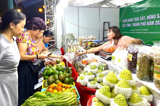 Nói không với nông sản không an toàn Kỳ 2: Rau sạch không còn là lời nói suông