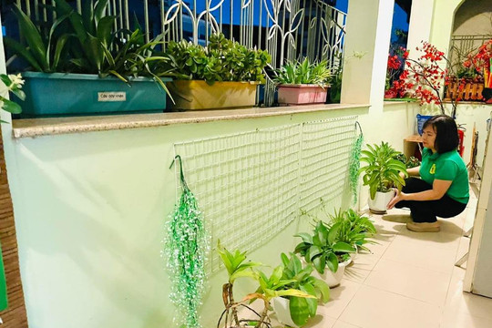 Cán bộ, giáo viên, học sinh và phụ huynh phường Cửa Nam chung tay ứng phó hiệu quả với cơn bão số 11