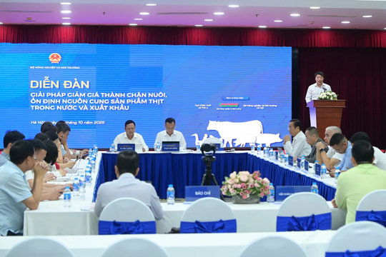 Tìm giải pháp giảm giá thành chăn nuôi, bảo đảm nguồn cung thịt cho 100 triệu dân