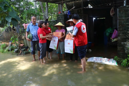 Hội Chữ thập đỏ Hà Nội kêu gọi quyên góp ủng hộ nhân dân các tỉnh bị ngập, lụt