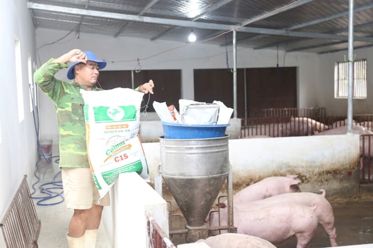 Gieo hạt đam mê - gặt mùa no ấm