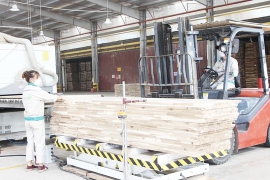 Doanh nghiệp “xanh hóa” sản xuất, giảm phát thải khí nhà kính