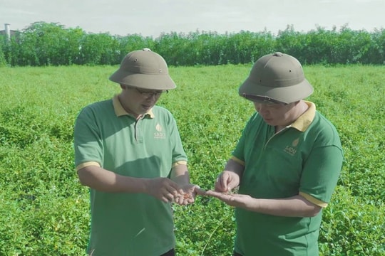 Chuyển đổi số: Câu chuyện thành công của doanh nghiệp biết nắm bắt thời cơ