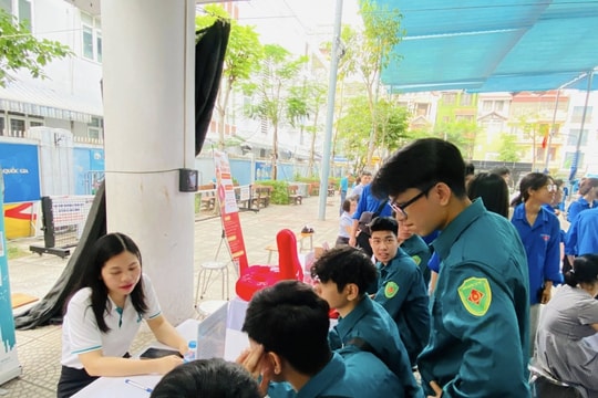 Tỷ lệ thanh niên thất nghiệp vẫn ở mức cao