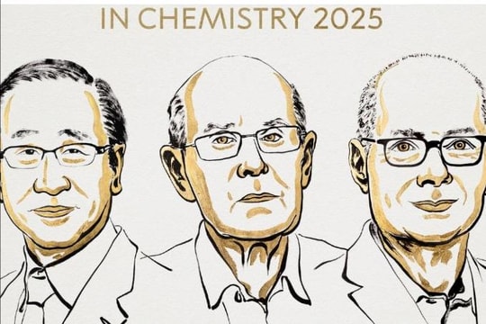 Nobel Hóa học 2025 trao cho ba nhà khoa học phát triển “khung kim loại - hữu cơ”