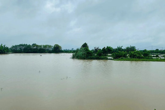 Hà Nội chủ động ứng phó với lũ đặc biệt lớn trên sông Cầu, sông Thương