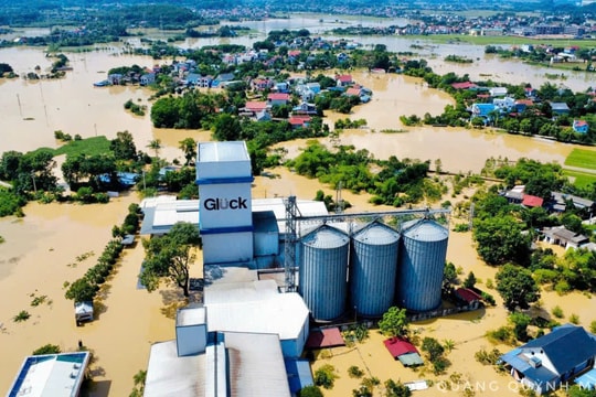 Căng mình cứu trợ người dân vùng lũ Trung Giã