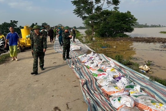 Bắc Ninh: Khẩn trương gia cố đê sông Cầu tại xã Tam Giang, bảo vệ an toàn dân cư
