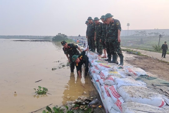 Quân dân hiệp sức giữ vững đê Bắc Ninh trước lũ dữ