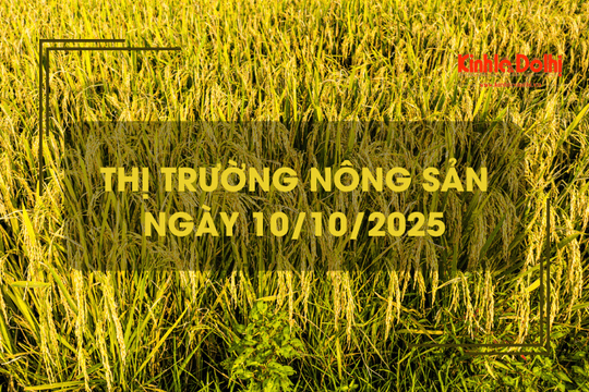 Thị trường nông sản ngày 10/10: giá gạo xuất khẩu tăng giảm trái chiều