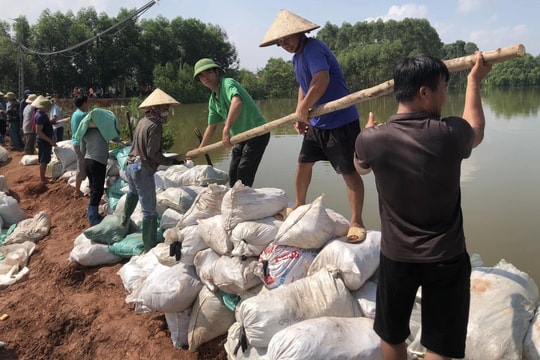 Bắc Ninh: Gần 100 giờ liên tục giữ đê ngăn lũ ở Mỹ Thái