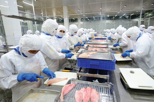 Tin tức đặc biệt trên báo in Hànộimới ngày 12-10-2025