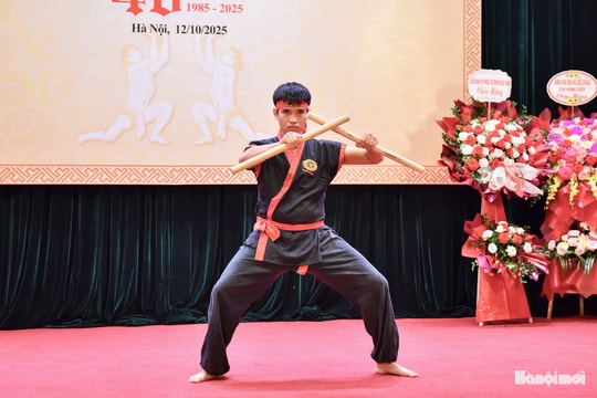 Giữ hồn võ Việt qua thế võ Nhất Nam