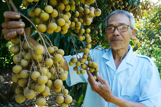 Nông dân Đồng Tháp biến rác hữu cơ thành tài nguyên