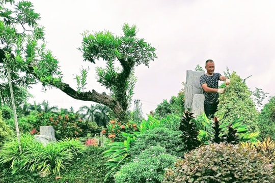 Hội Nông dân Gia Lâm đồng hành cùng hội viên phát triển kinh tế