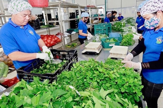 Hà Nội gỡ “nút thắt” chuỗi liên kết nông sản