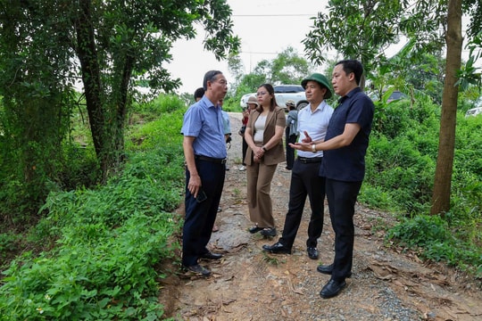 Xã Xuân Mai: Phát triển đô thị sinh thái, thích ứng với biến đổi khí hậu