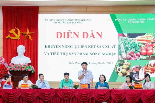 Xã Kiều Phú thúc đẩy liên kết tiêu thụ sản phẩm nông nghiệp an toàn