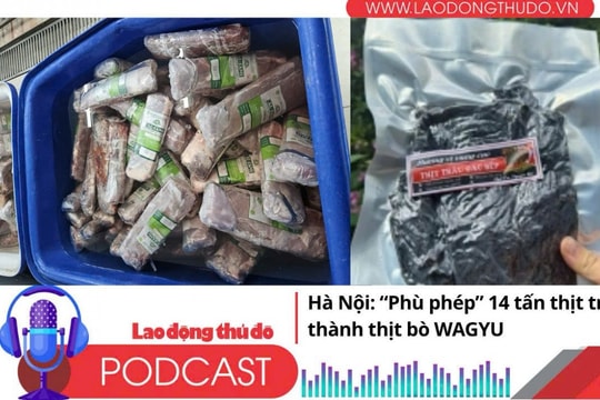 Điểm những tin nổi bật tối ngày 14/10/2025: Hà Nội: “Phù phép” 14 tấn thịt trâu thành thịt bò WAGYU