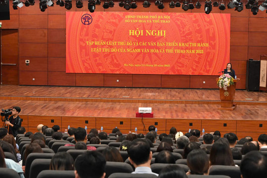 Tập huấn triển khai thi hành Luật Thủ đô cho công chức văn hóa 126 xã, phường
