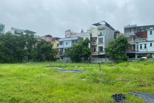 Dự án nhà ở xã hội tại Ngọc Hồi: Lãng phí đất đai giữa lòng Thủ đô