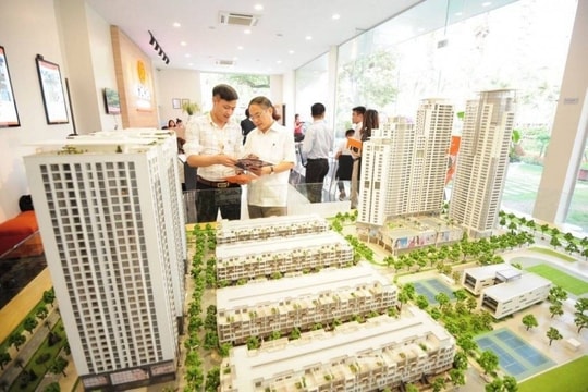 Quy định về Quỹ đầu tư mạo hiểm quốc gia và quỹ đầu tư mạo hiểm của địa phương