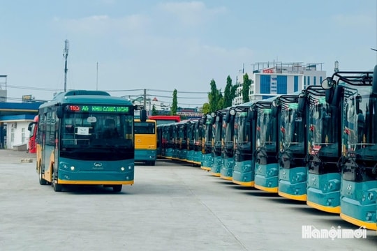 TP Hồ Chí Minh: Xem xét chuyển đổi công năng gần 100 xe buýt CNG đang "đắp chiếu"