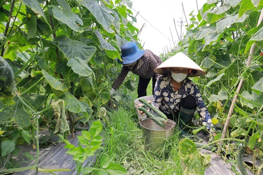 Giảm nghèo bền vững - hành trình nhân văn của Thủ đô Hà Nội