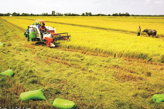 Vĩnh Long: xây dựng nền nông nghiệp thông minh, hiện đại