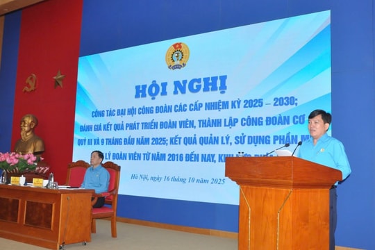 Tổng LĐLĐ Việt Nam tập trung tháo gỡ vướng mắc công tác tổ chức Đại hội Công đoàn cơ sở