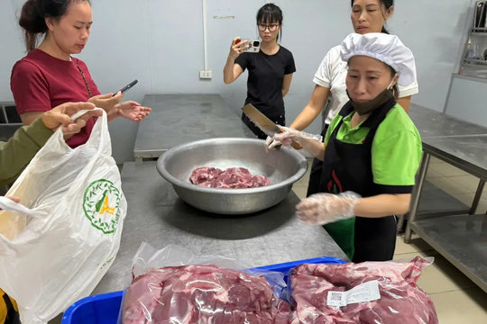Kết quả kiểm tra ATTP bếp ăn tập thể Trường Tiểu học Cự Khê