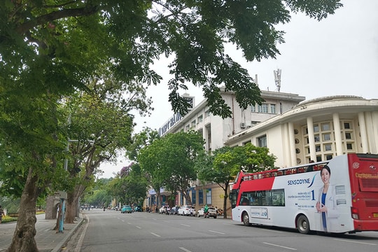 Bắc Bộ chiều tối và đêm có mưa rào