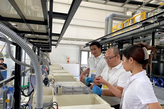 Hàng không Việt Nam tăng trưởng trên 10%, mở ra cơ hội hợp tác Việt – Nhật