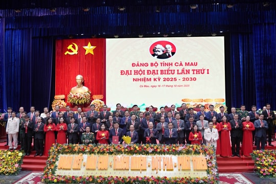 Danh sách Ban Thường vụ, Ban Chấp hành Đảng bộ tỉnh Cà Mau