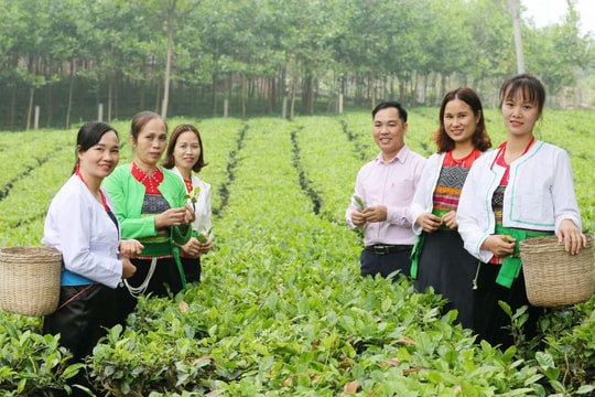 Xã Suối Hai: Hiện thực hóa khát vọng vùng quê giàu bản sắc, phát triển toàn diện