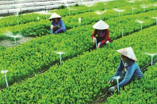 Quy chế hoạt động của Ban Chỉ đạo quốc gia về kinh tế tập thể