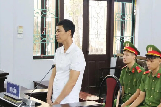 Vụ án gà lôi trắng: Lý do bị cáo được thả tự do ngay tại toà?