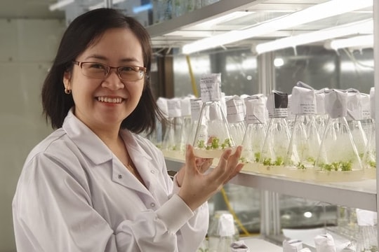 Kỳ vọng về một “Khoán 10” trong khoa học, công nghệ