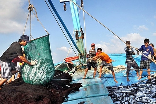 Thủ tướng yêu cầu tập trung thực hiện tháng cao điểm chống khai thác hải sản bất hợp pháp