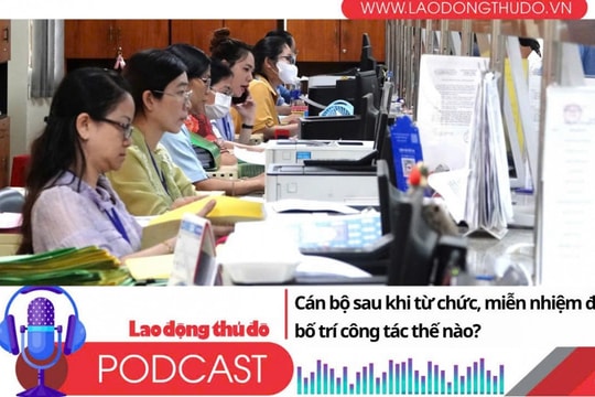 Cán bộ sau khi từ chức, miễn nhiệm được bố trí công tác thế nào