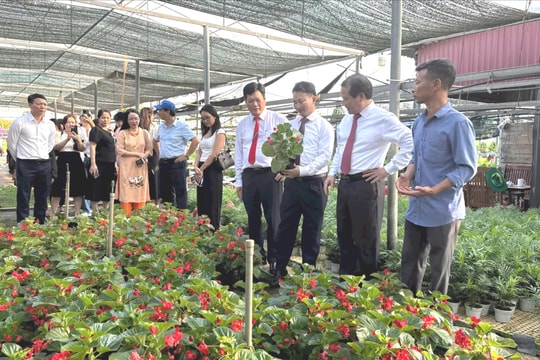 Công bố bộ sản phẩm du lịch mới “Hà Nội 2025 - Tinh hoa hội tụ”