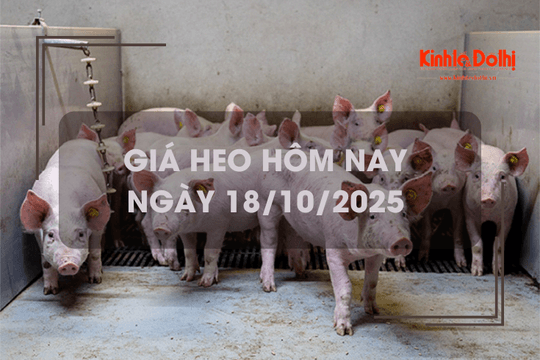 Giá heo hôm nay 18/10: tăng giảm trái chiều