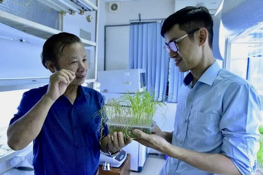 “Cởi trói” cho chỉnh sửa gen, hướng đến phát triển nông nghiệp hiện đại