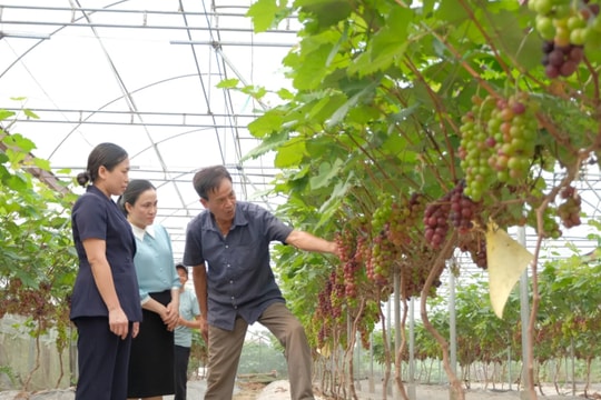 Phát huy vai trò nông dân Thủ đô trong chuyển đổi xanh
