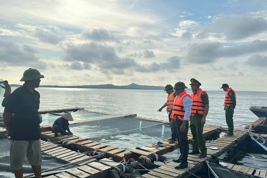 Chủ động triển khai các biện pháp ứng phó với bão số 12 (Fengshen) trên biển Đông
