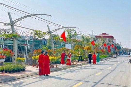 Sắc hoa Tường Phiêu: Điểm trải nghiệm độc đáo