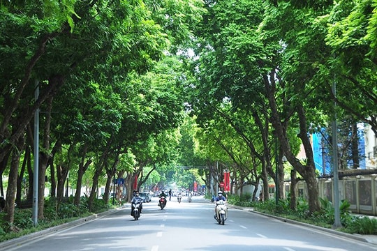 Bắc Bộ ngày nắng, đêm trời chuyển lạnh